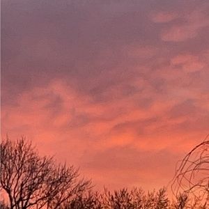 Meet your Posher, Josie